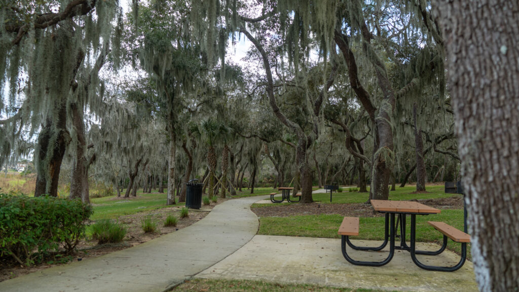 Nature Trail - Walkway